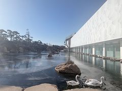 -罗红摄影艺术馆