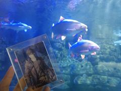 -江和美海洋公园