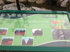 IMG_1822-石门涧