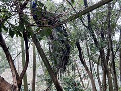 -庐山西海主景区