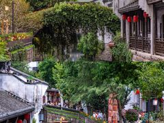 -杭州湾海上花田景区