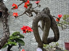 -梁园