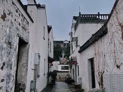-青果巷历史文化街区