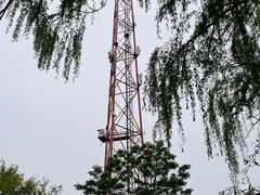 -朝阳公园