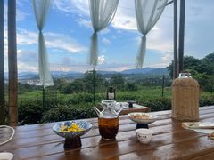 -午潮山国家森林公园