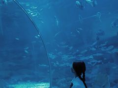 -江和美海洋公园