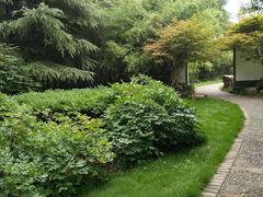 -洛阳市隋唐城遗址植物园