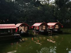 -荔湾湖公园