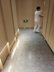 -思妍丽