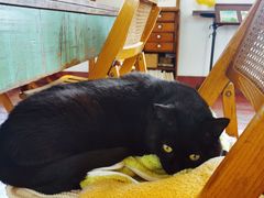 -春风十里咖啡馆