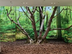 -极简口腔(总院)