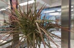 点击看大图 -P.STYLE 派斯造型