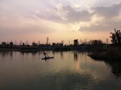 -白鹭湾湿地公园