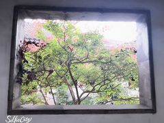 -秋霞圃