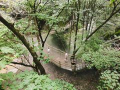 -牛背梁国家森林公园