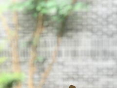 -也枫·小黄楼(南山路旗舰店)