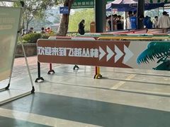 -芦仙山景区-飞越丛林探险乐园