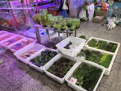 -双季花艺园艺市场(浦东店)
