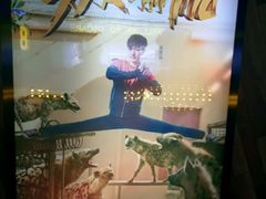 -奥斯卡升龙国际影城(RealD Cinema)