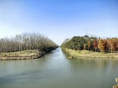 -上海海湾国家森林公园