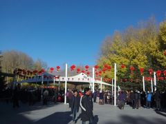 -宗角禄康公园