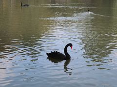 -东华大学(松江校区)