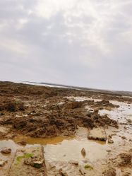 -万达宝贝王(青岛路万达广场店)