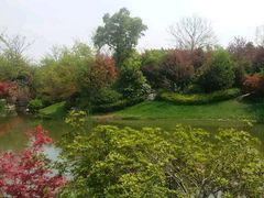 -桃花岛景观公园