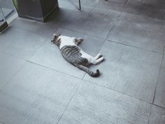 -UNI UNI(环亚凯瑟琳店)