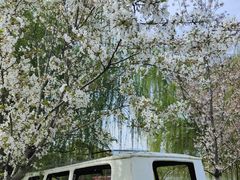 -云幽谷旅游区