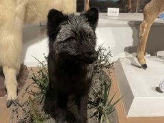 -陕西自然博物馆