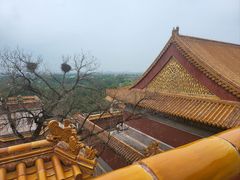 -颐和园