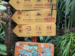 -正佳雨林生态植物园