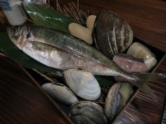 -矶野水产(澳门逸园中心店)