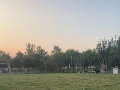 -爪吧宠物乐园 (温榆河示范区店)