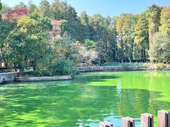 -东湖生态旅游风景区
