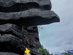 -梭布垭石林景区