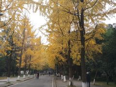 -四川大学(望江校区)