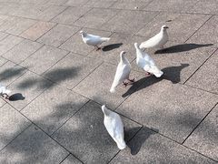 -人民广场