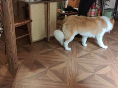 -吴记口味馆