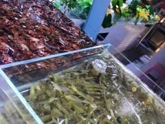 -聚盛源蒸汽海鲜火锅烤肉自助(巨川金海岸购物广场店)