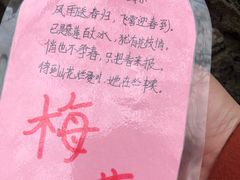 -香雪海