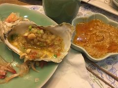 -海桐