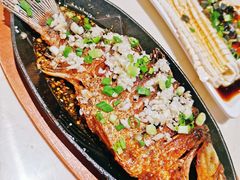 铁板烤鲫鱼-老黑板筋(顺义总店)