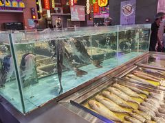 水产区-王庄阿咪海鲜大排档(象园店)