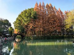 -乌镇东栅景区