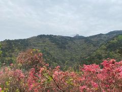 -木兰云雾山