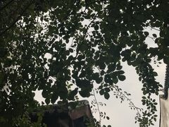 -苏州文旅花间堂·探花府酒店