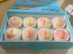 -老袁家蜜桃农场·阳山水蜜桃