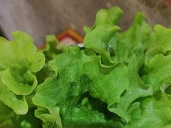 -锅圈食汇火锅烧烤食材超市(绍兴路店)